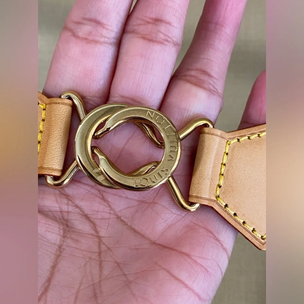 Louis Vuitton Monogram Satelite 50